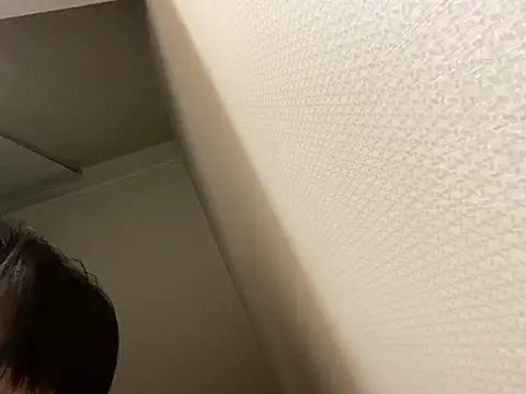 dvoi 网络视讯表演