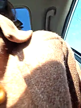 KittyWhispers' Live XXX Chat