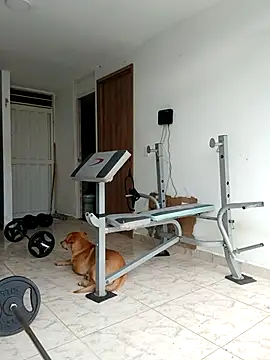 Show de webcam de LEIRIS_Y_FRED_01