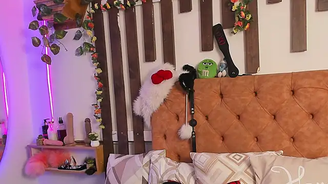 MeowMota_ 웹캠 쇼