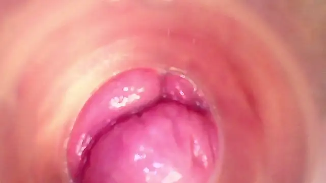 shannon_kinne_ Chat XXX in diretta