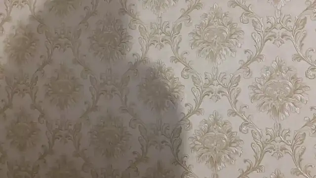 valori 即時 XXX 聊天