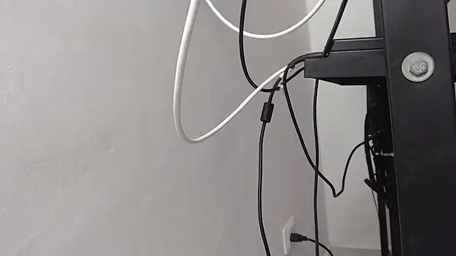 Онлайн чат XXX Roy_fox_