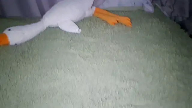 ExitedTroth's Live XXX Chat