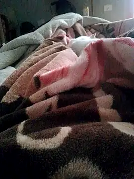 Вебкам-шоу T-cros