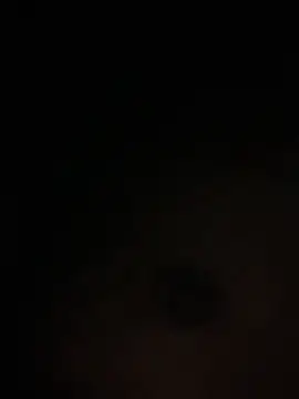 Duz-mlore Live XXX Chat