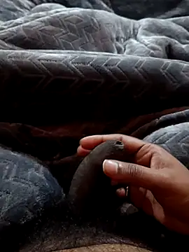 Naughtyforpussy Live XXX-chat