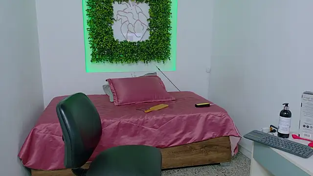 KaelSwitch 网络视讯表演