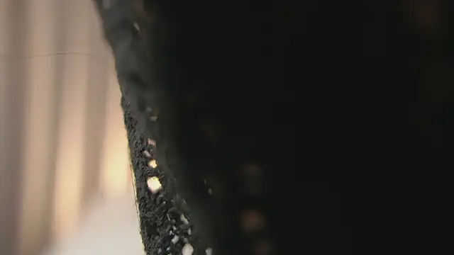 Alyonaqueen_ élő XXX-chatje