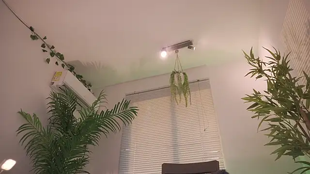 Cooper-Reds – Live XXX-chat