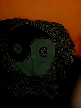 snwflkのウェブカメラショー