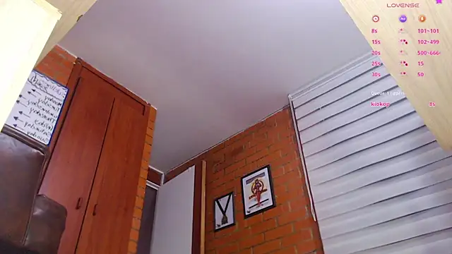 Salome-sw 现场XXX聊天