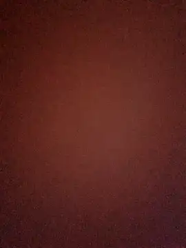 Mibo6 网络视讯表演