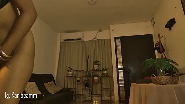 Chat XXX Live Karibeam