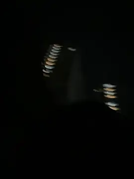 Živý XXX chat Flossy_Vettie