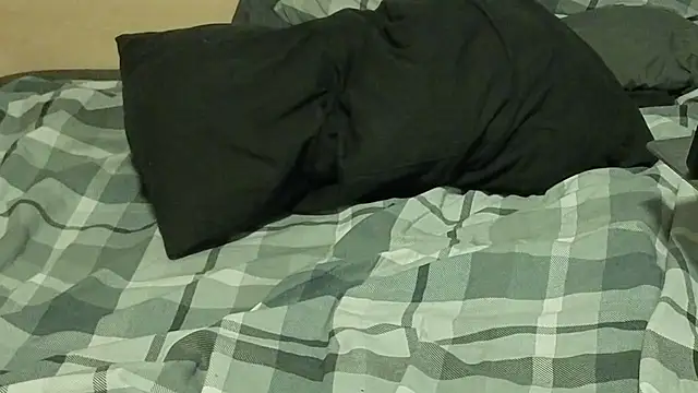 Show Webcam de Dan8736