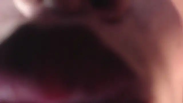 Camila_Russoo: онлайн-секс-чат