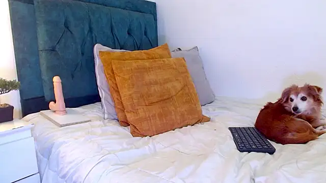 Chat XXX ao vivo de cedrixx10