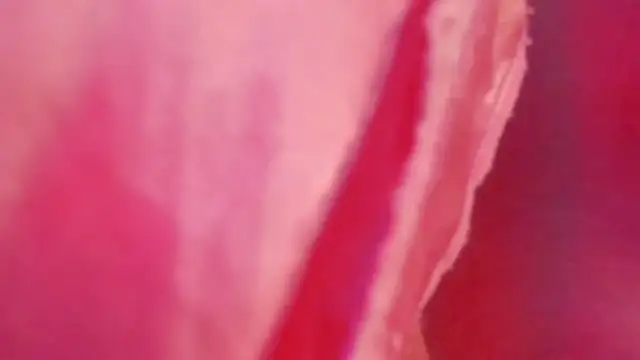 gabriella_ortiz Chat XXX in diretta