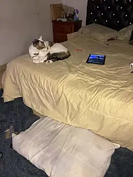 VenusDeMilo_55 现场XXX聊天