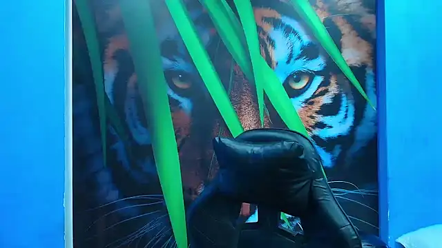 DEIBY_BABY élő XXX-chatje