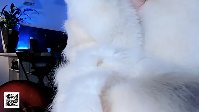 Chatroom XXX en direct de _Misha_Addams_