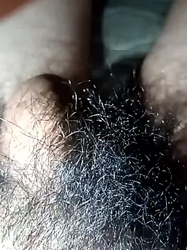 rodovlaz Show Webcam