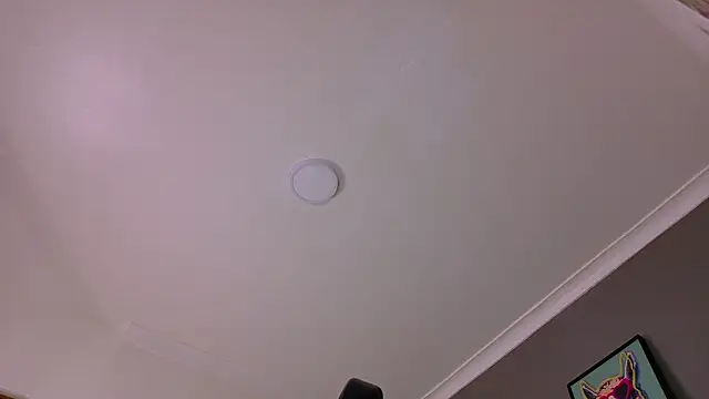 MrFox__ Adlı Modelin Canlı XXX Sohbeti