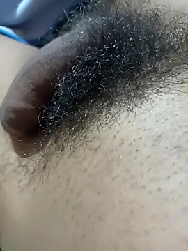 arciangel – Kamerová šou