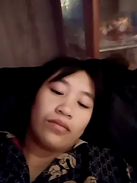 han-camx Show Webcam