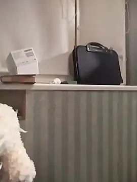 Show webcam de CerroCerro