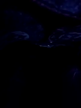 Elbayda's Live XXX Chat