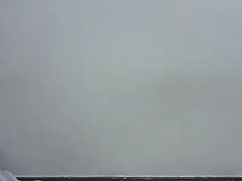 prettybeee লাইভ XXX চ্যাট