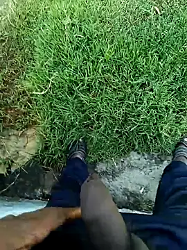 dolphiinn 网络视讯表演