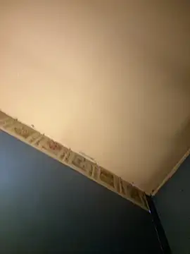 Thickerthenasnickerandkk 라이브 XXX 채팅