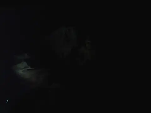 Carajito16's Live XXX Chat