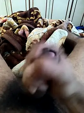 Chat XXX en directo de dildarlund