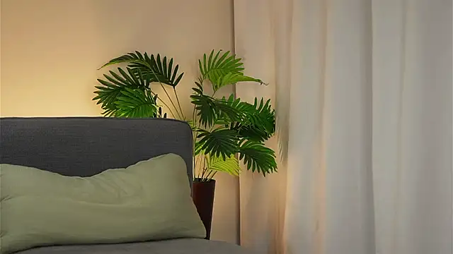 akumadadrive's Live XXX Chat