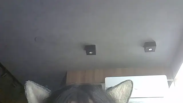 Chatroom XXX en direct de SkinnyKitten