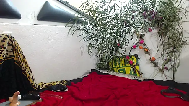 SweetJojo1993 Obrolan Langsung XXX