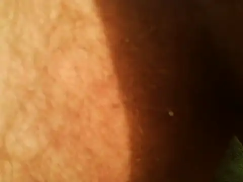 Chat XXX en directo de bigboySRB27