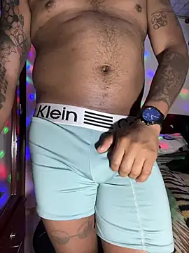 Saipuer31のライブXXXチャット