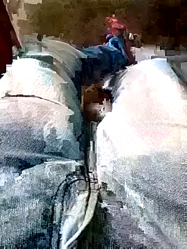 Horny-boyyy's Live XXX Chat