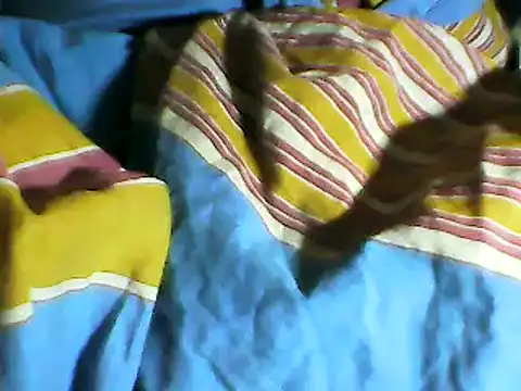 Chat XXX Live rajith8999