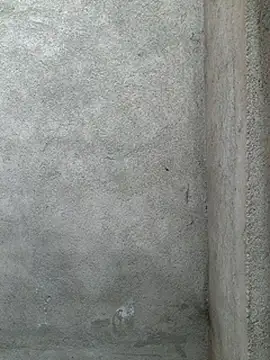 kitty_113 现场XXX聊天