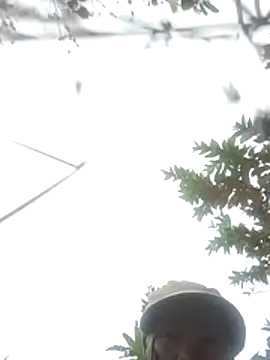 nangmo's Live XXX Chat