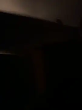 Show webcam de BearChubby300