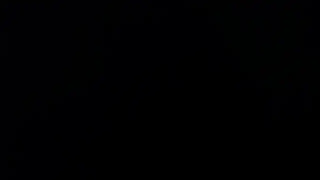 Show webcam de sackstor