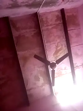 TINASONI 라이브 XXX 채팅