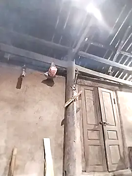 Онлайн чат XXX dorothyxx